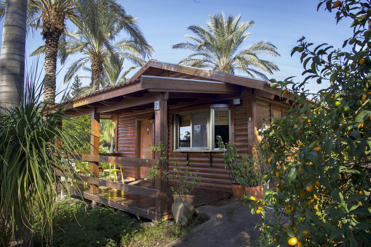 Naomi'S Place הבית של נעמי Ramot Exterior photo