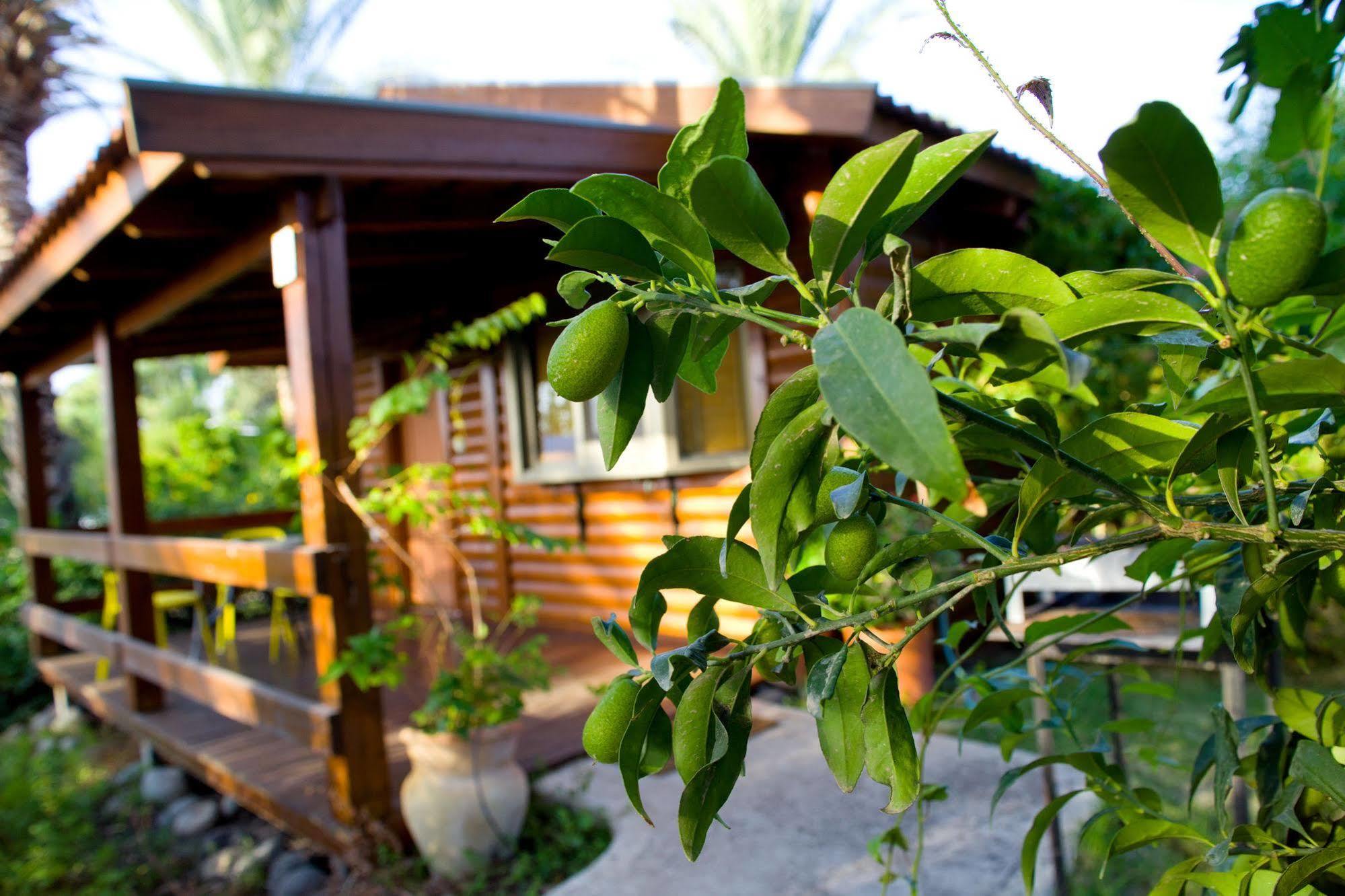 Naomi'S Place הבית של נעמי Ramot Exterior photo