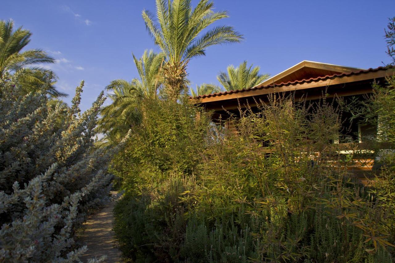 Naomi'S Place הבית של נעמי Ramot Exterior photo